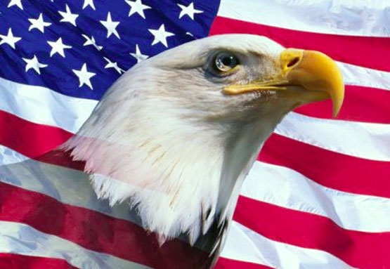 Logo - USA-Eagle